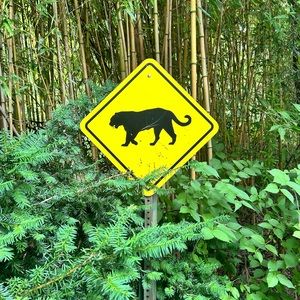 Meet your Posher, Arielle